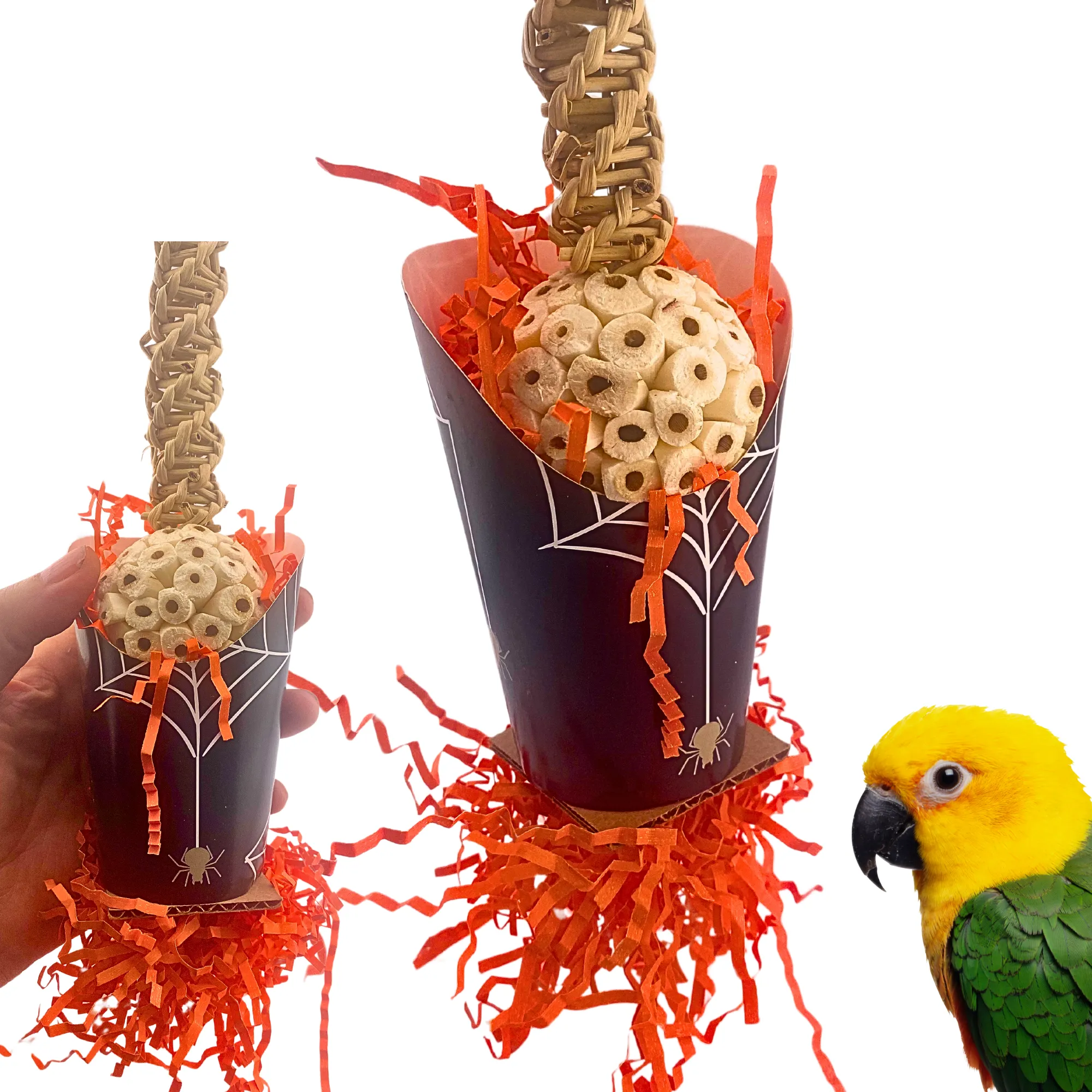 2707 Halloween Spider Cup