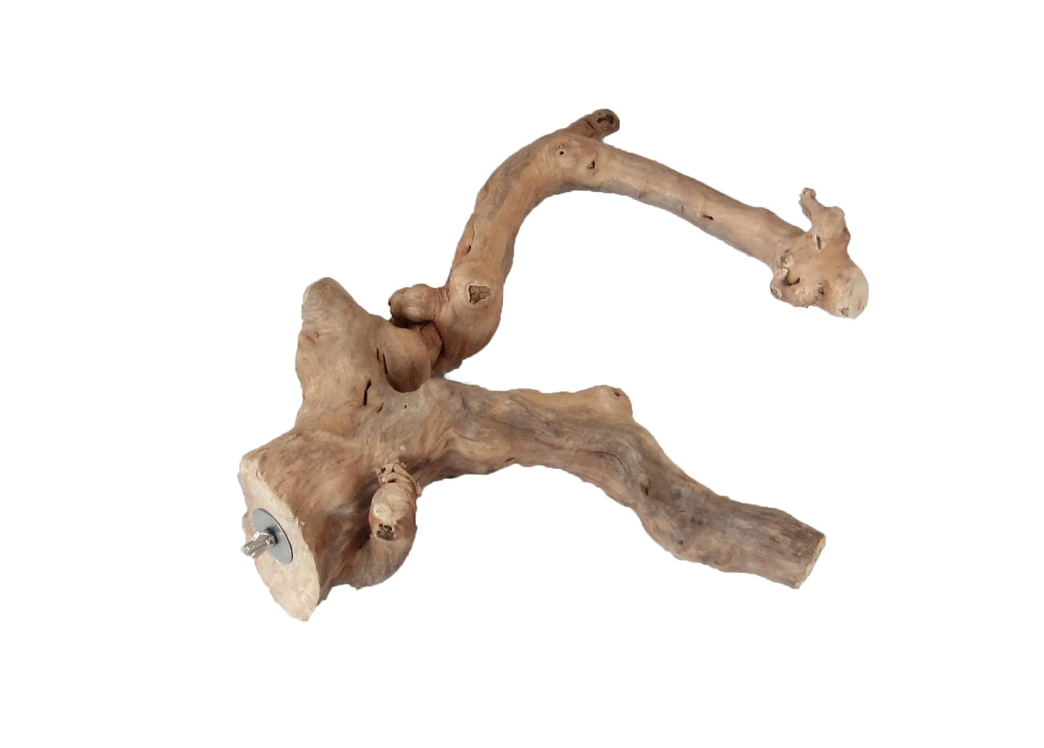  AE6004XL-Extra Large Java Wood Multi Branch Perch