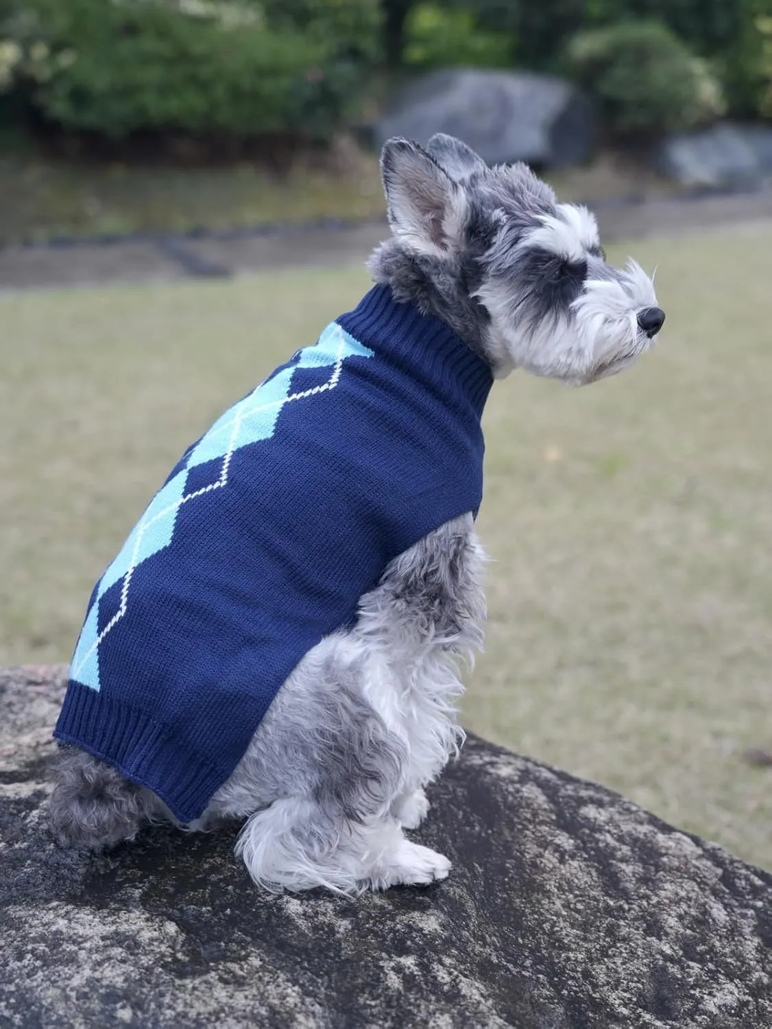 'Argyle Knit Pet Sweaters Clothes for Dogs Pets, Classic Blue Dog Sweater Small (S) Size