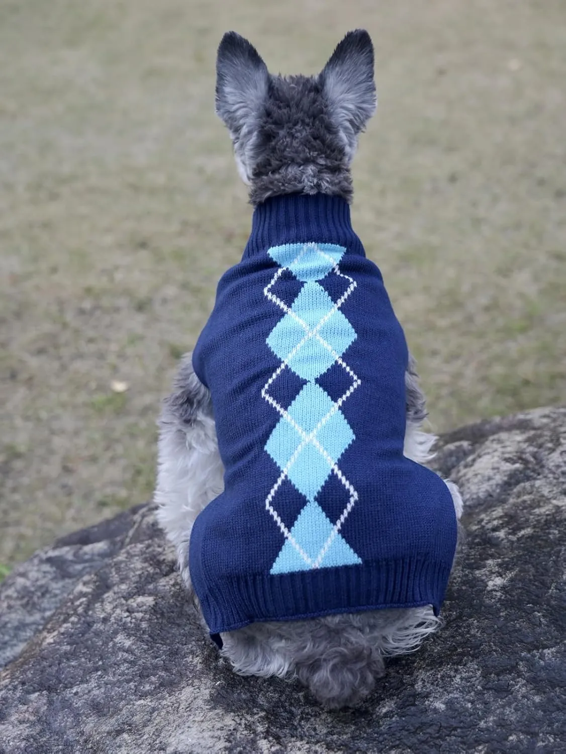 'Argyle Knit Pet Sweaters Clothes for Dogs Pets, Classic Blue Dog Sweater Small (S) Size