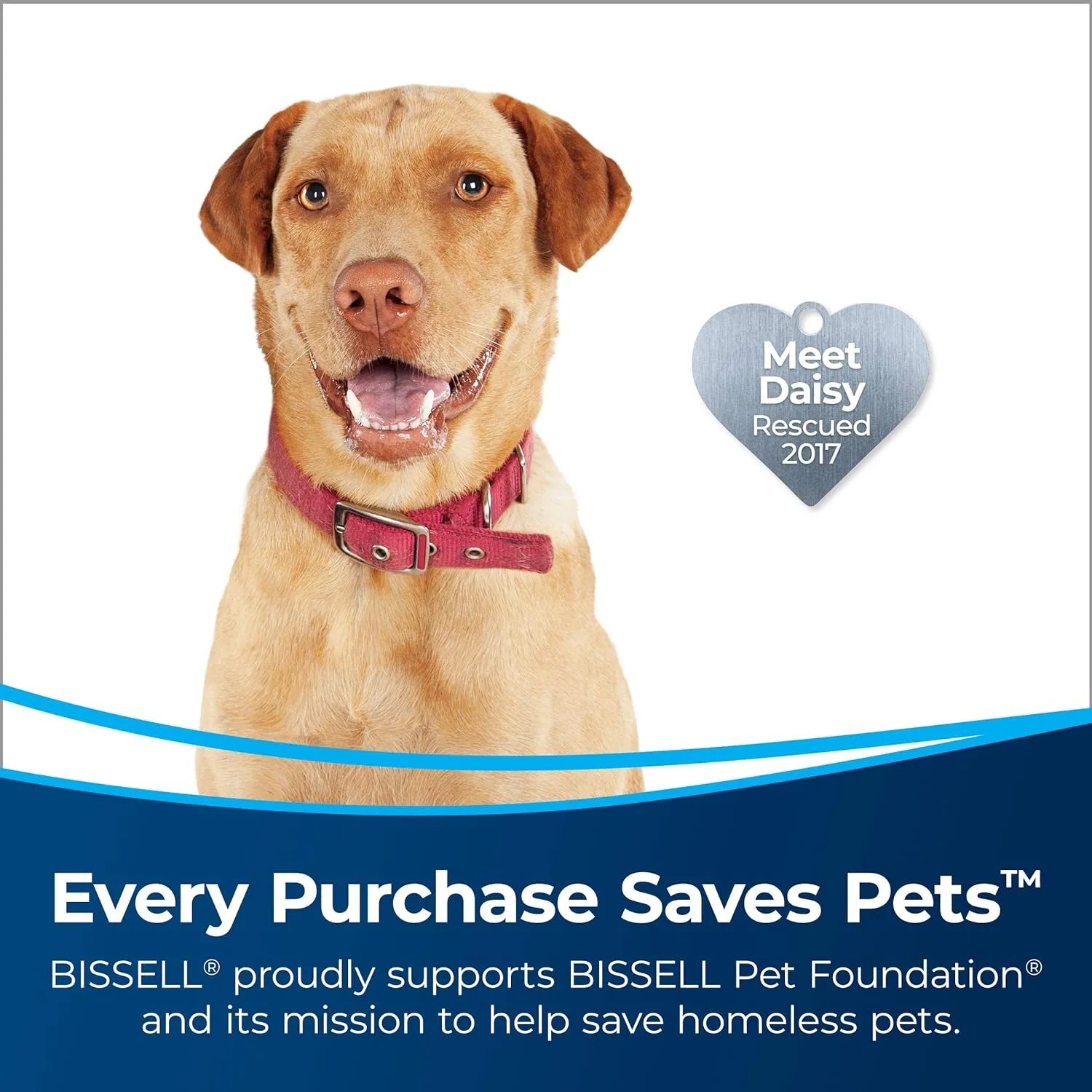 Bissell MultiClean Allergen Pet Upright Vacuum with HEPA Seal System, 2999