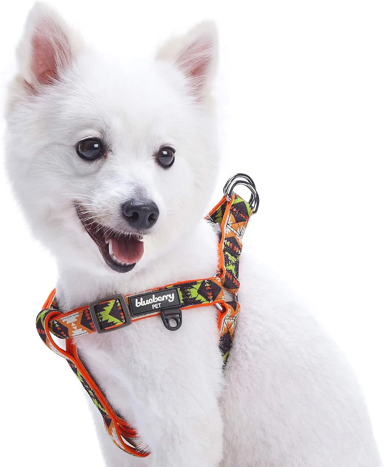 Blueberry Pet 2 , 49.5  - 64.8 ,,S/M,