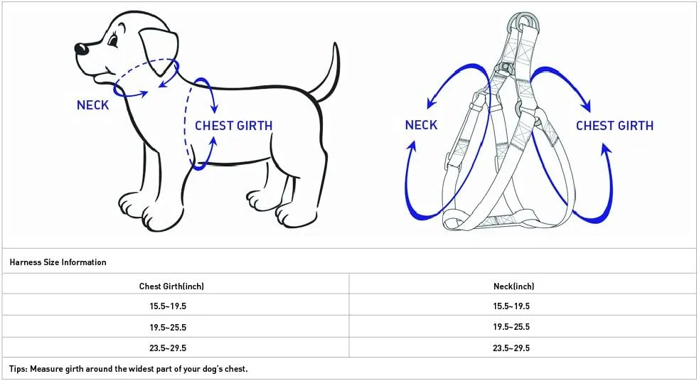 Blueberry Pet 2 , 49.5  - 64.8 ,,S/M,