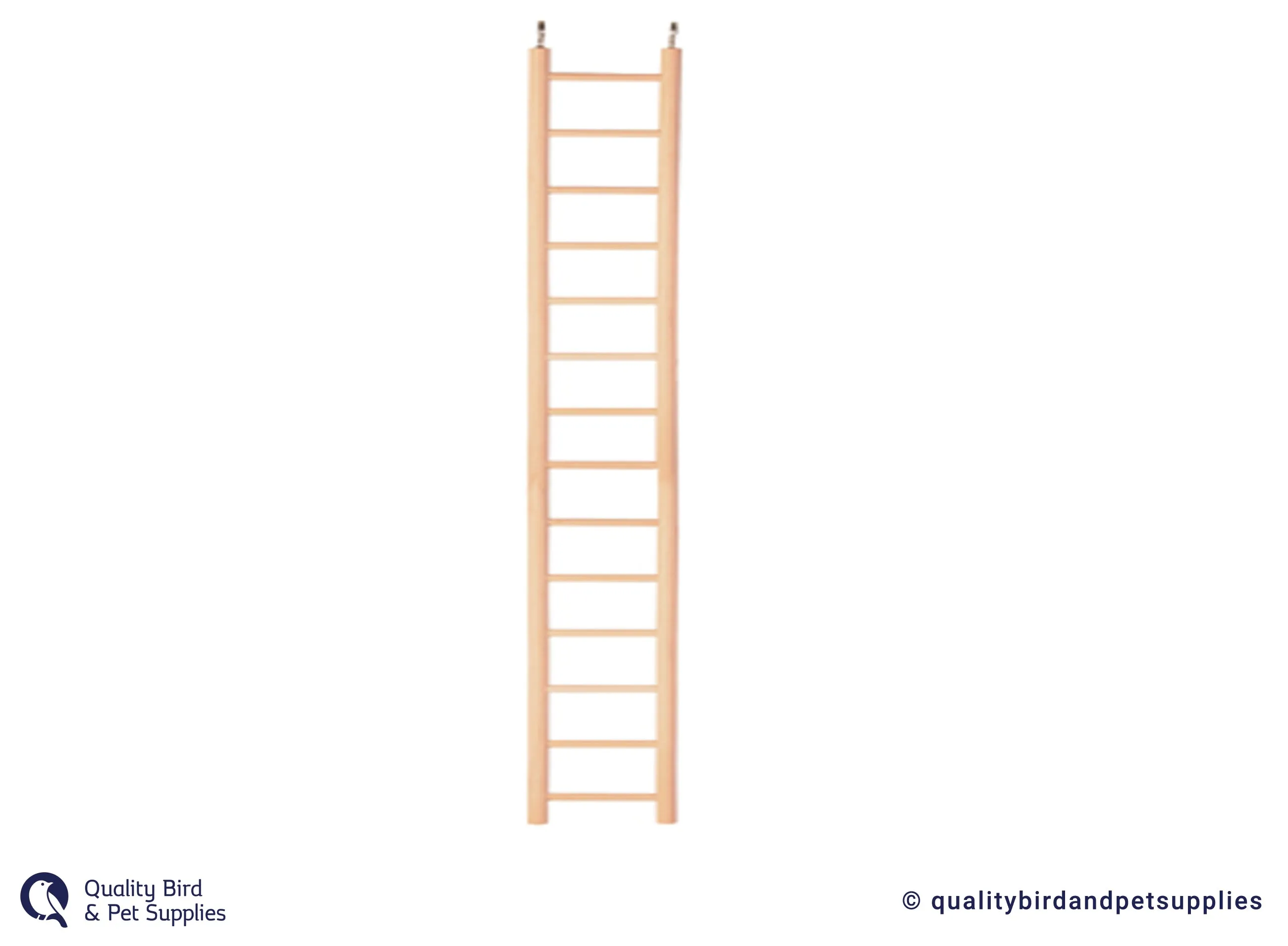 Brooklands Ladder