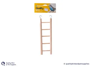 Brooklands Ladder