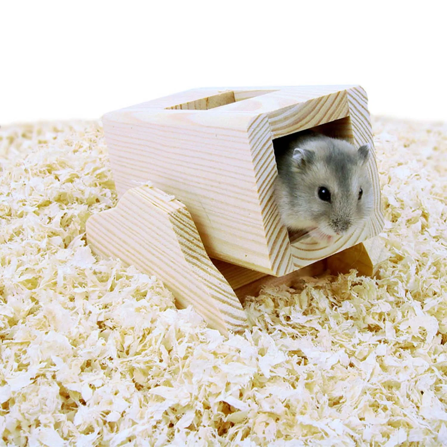 Carno Hamster Rocking Canon