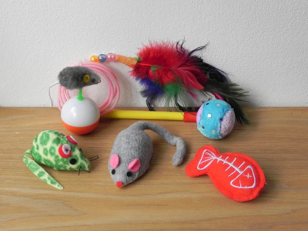 CATS JUST WANT TO HAVE FUN GIFT IN A TIN