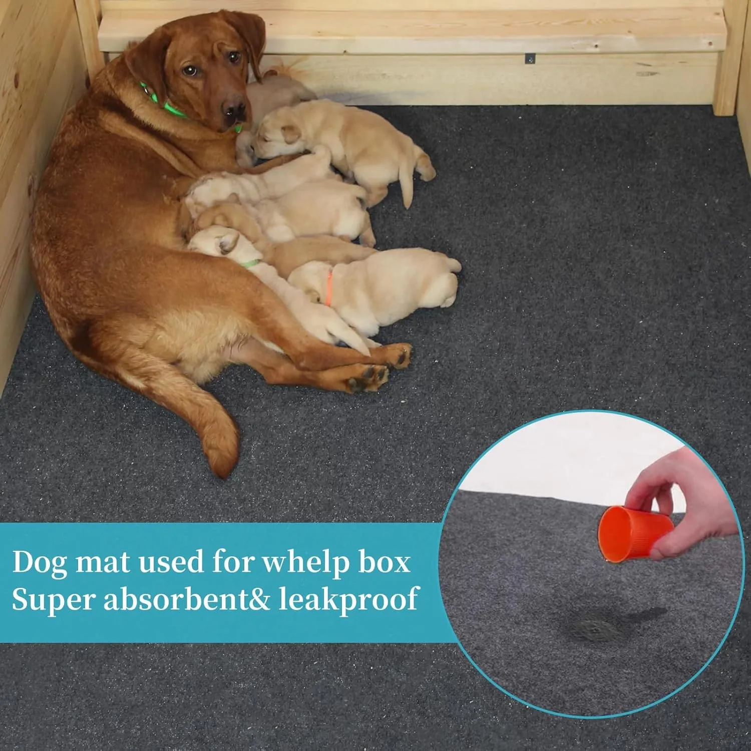 Dog Crate Pad - Non-Slip, Waterproof, Absorbent Dog Playpen Mat - Crate Pad Liner Protect Floors - Soft, and Reusable -Dog Crate Mat Ideal for Puppies and Senior Dogs (Black, 24" x 36")
