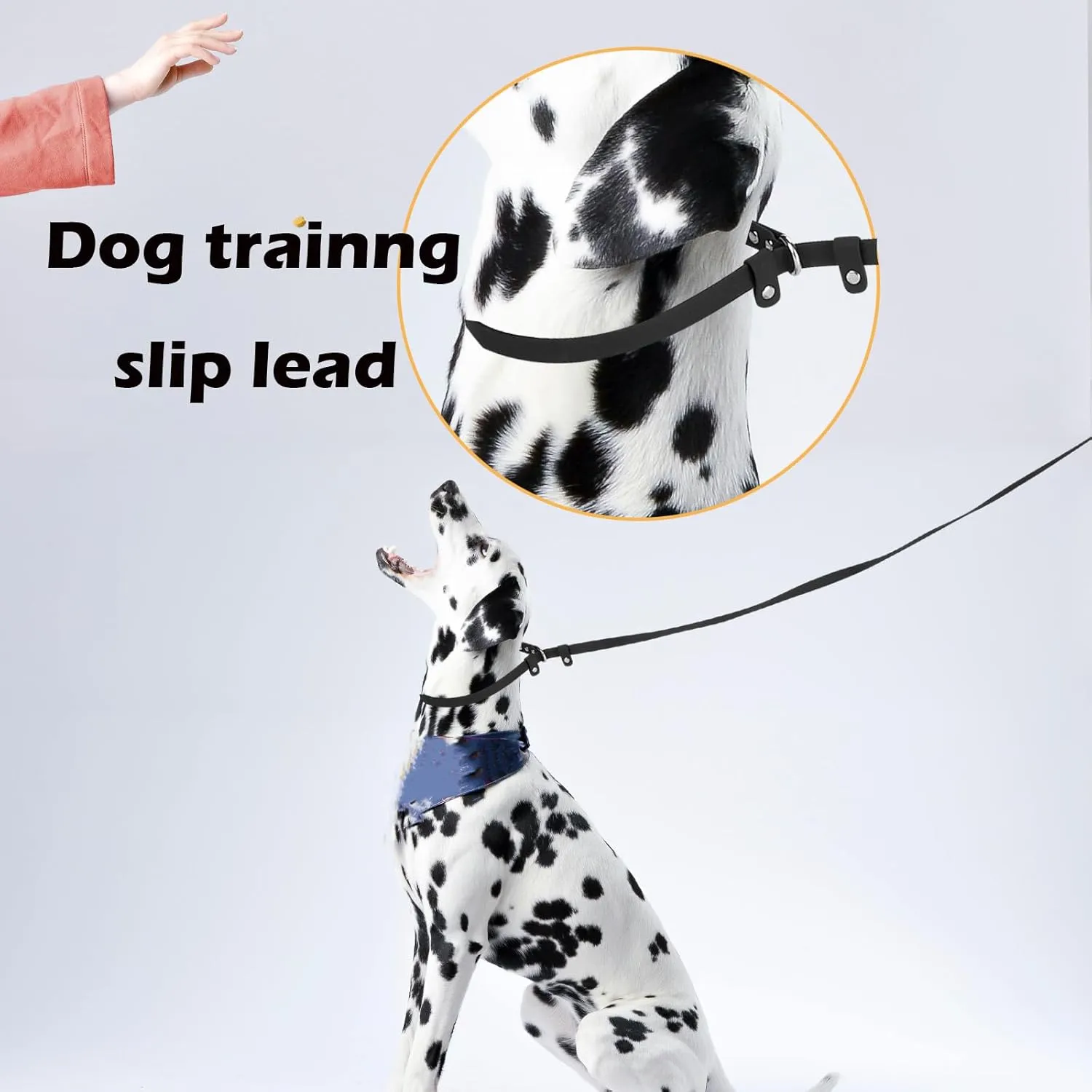 Dog Slip Lead Pet Leash 5FT /6 FT x 5/8'' Dogs Training Leashes Comfortable Soft Waterproof Pet Slip Leads, No Pull Pet Leash for Small Medium Large Breeds (Black, 5/8'' x 6FT)
