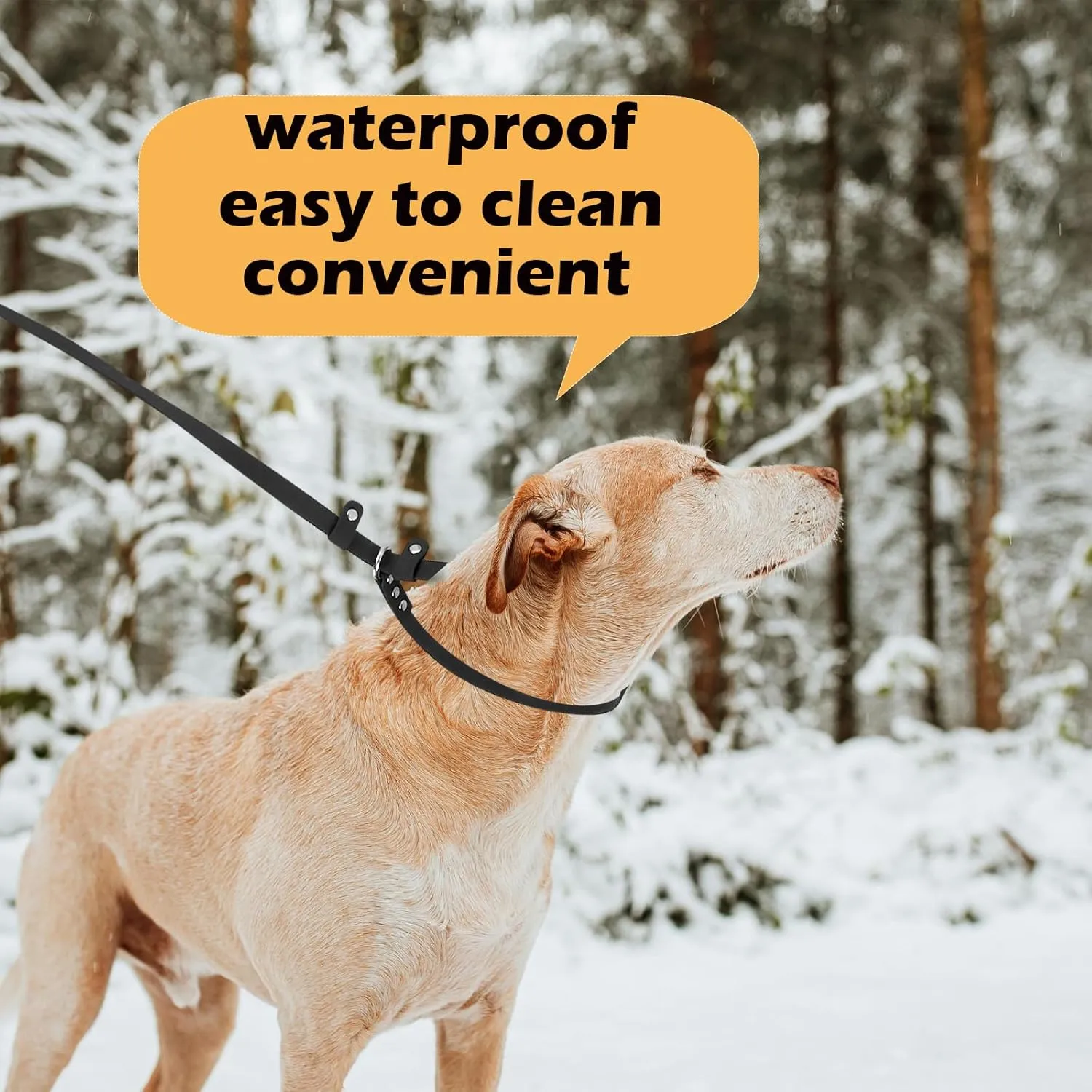 Dog Slip Lead Pet Leash 5FT /6 FT x 5/8'' Dogs Training Leashes Comfortable Soft Waterproof Pet Slip Leads, No Pull Pet Leash for Small Medium Large Breeds (Black, 5/8'' x 6FT)