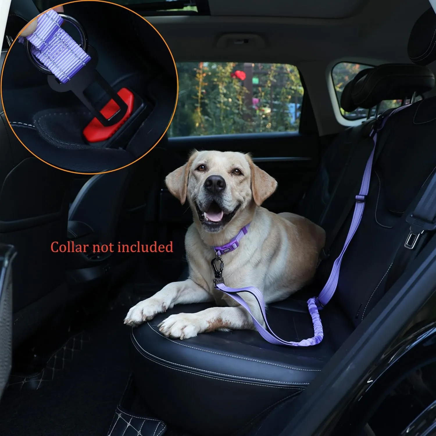 Hands Free Dog Leash, No Pull Bungee Dog Running Waist Leash, with Car Seat Belt, Reflective Stripes, Heavy Duty for Medium and Large Dogs. (Solid Lilac, Large)