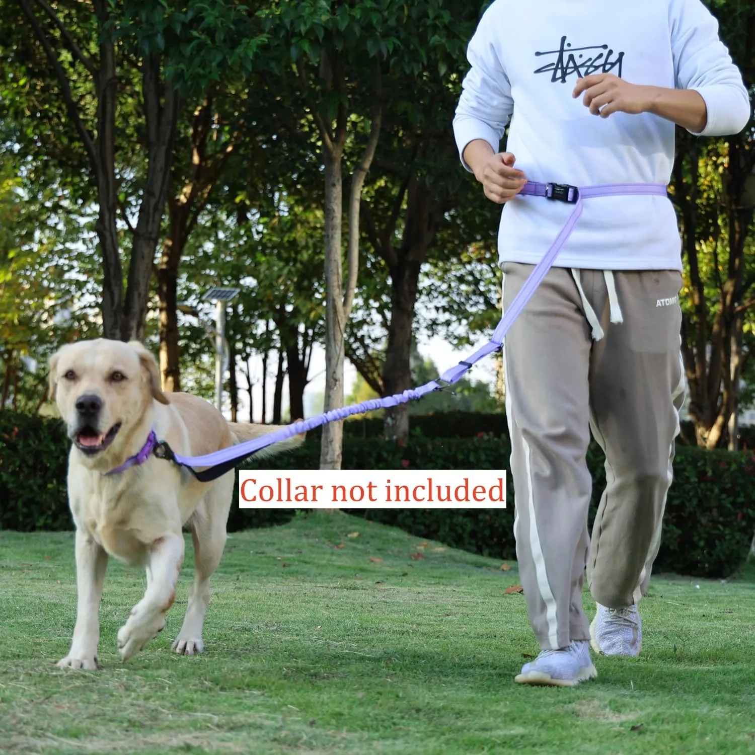 Hands Free Dog Leash, No Pull Bungee Dog Running Waist Leash, with Car Seat Belt, Reflective Stripes, Heavy Duty for Medium and Large Dogs. (Solid Lilac, Large)