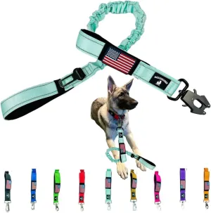 Heavy Duty Bungee Dog Leash - Shock Absorbing, Seat Belt Clip, Quick Release Frog Clasp, Double Padded Handles, for Large and Medium Dogs, Durable for Training, Walking, Car Safety, Outdoor Adventure