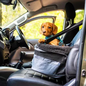 Henry Wag Dog Car Booster Seat