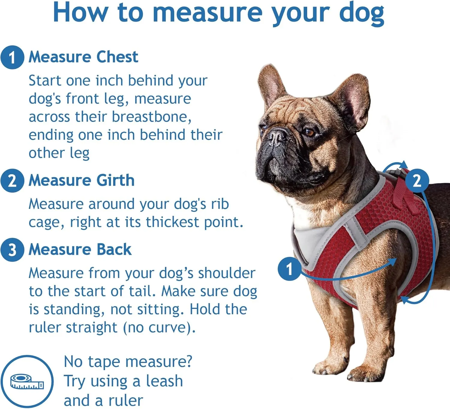 KZA308-02XS Reflective V-Neck Step in Mesh Dog Harness - No Pull, Quick Fit, Comfortable, Velcro-Adjustable Pet Harnesses for Walking & Training - Small, Medium Dogs - Blue,X-Small