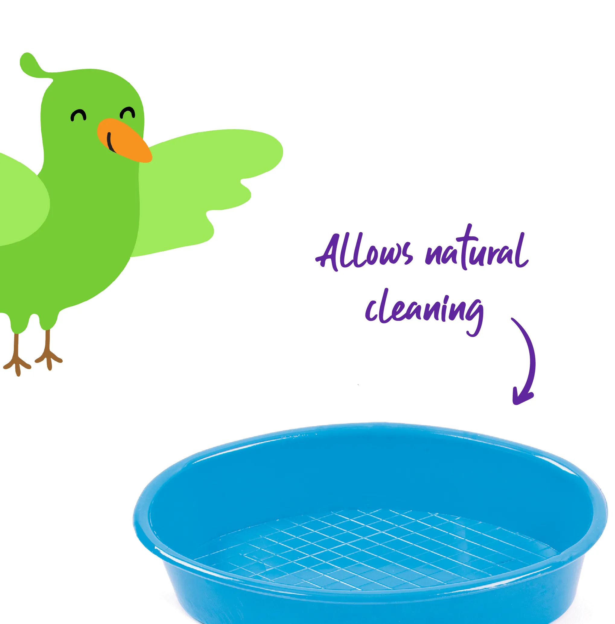 Oval Bird Bath