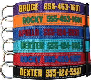 Personalized Dog Collar with Name and Phone Number  Custom Reflective Dog ID Collar for Small Medium Large Dogs  Adjustable Nylon Collar with Safety Buckle and D-Ring  Customizable Pet Name Collar