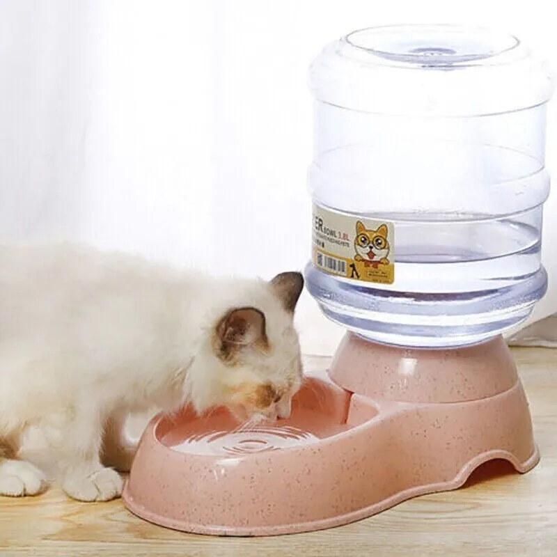 Pet Bowl Bottle
