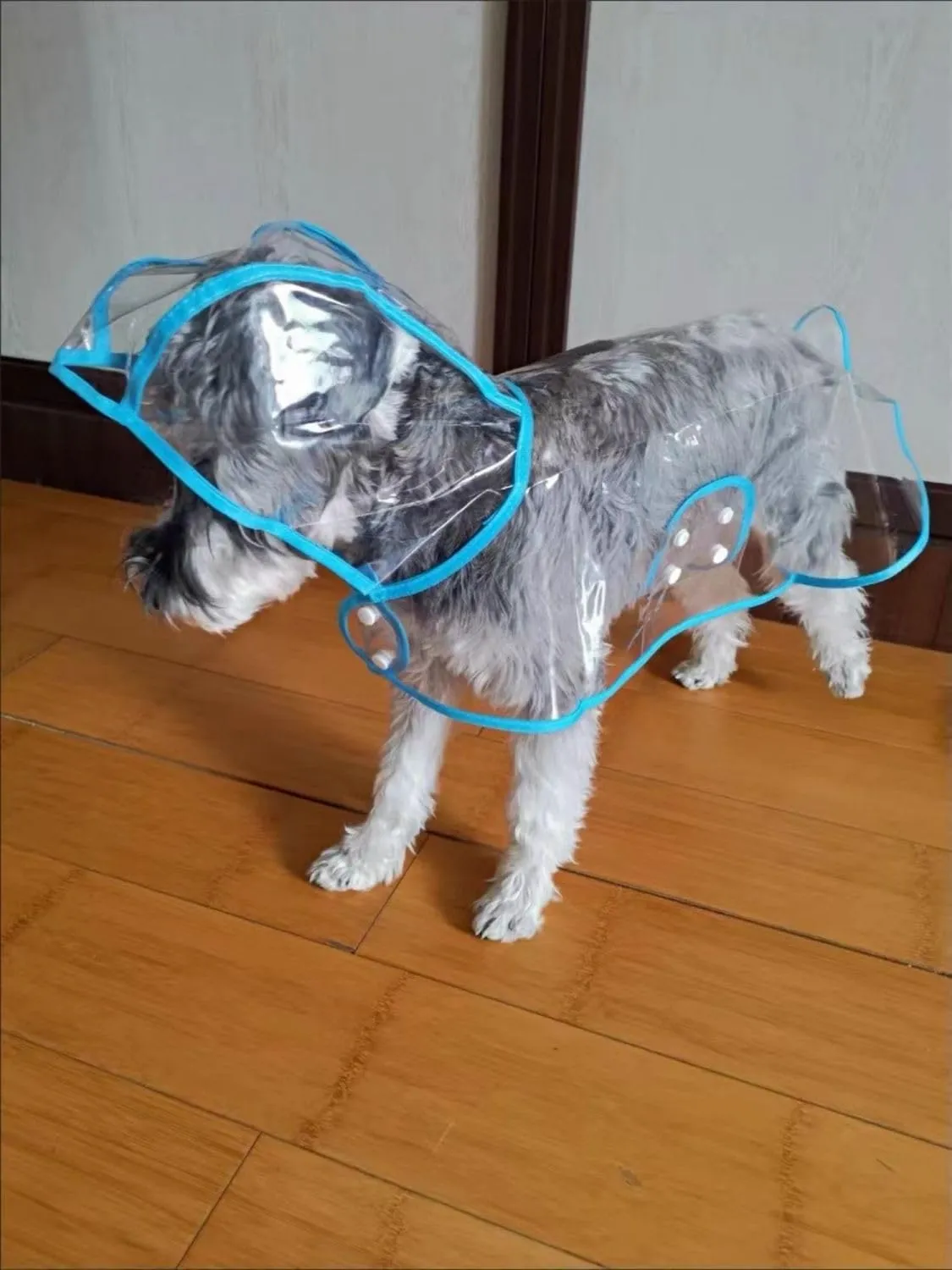 Pet Raincoat,Small Dog Waterproof Puppy Raincoat Coat Transparent Pet Dog Rainwear Clothes for Small Dogs Cats (S, Blue)