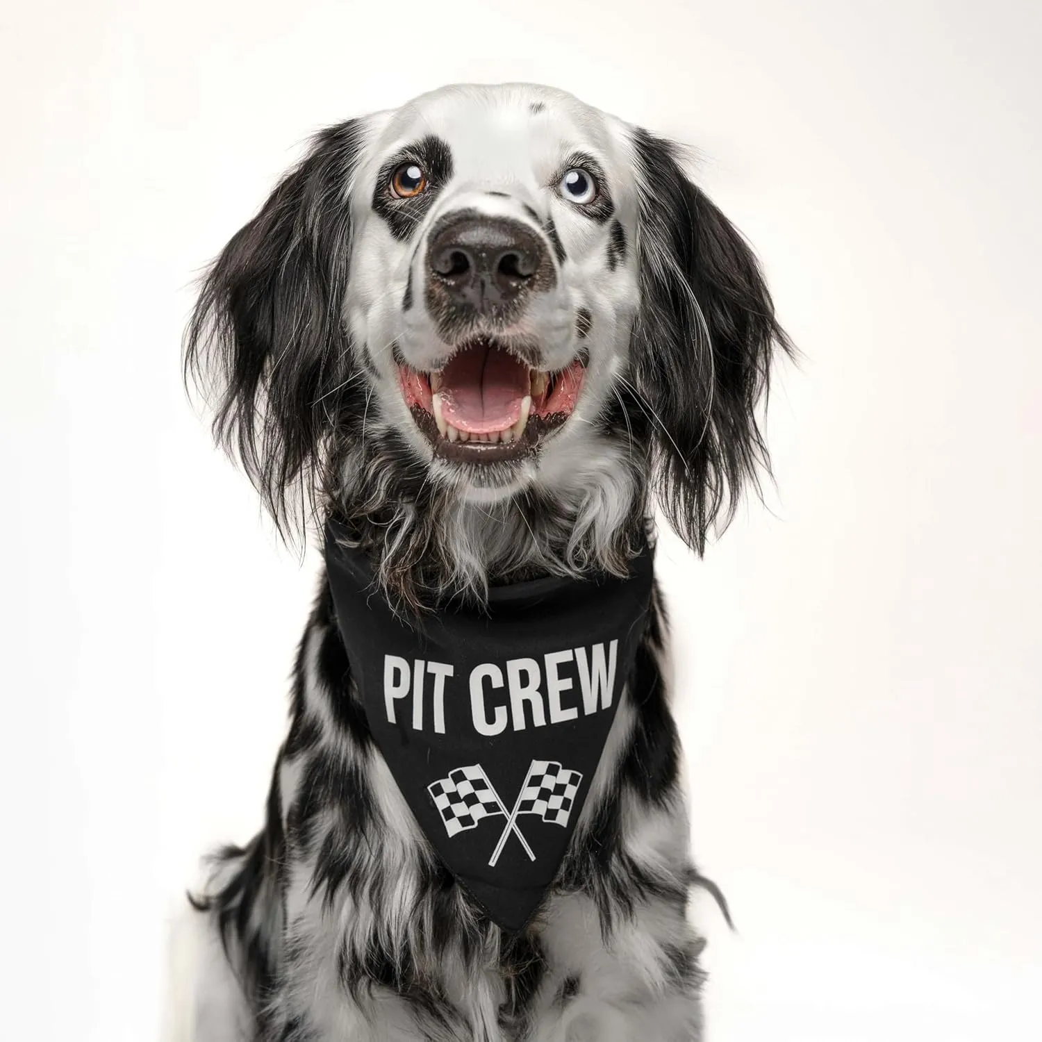 Pit Crew Dog Bandana | 100% Cotton Triangle | Made in USA | Birthday Pawty | Party Theme | Car Racing | Fast Lane | Photoshoot Prop | Girl Boy | Hot Pink, X-Small (49)