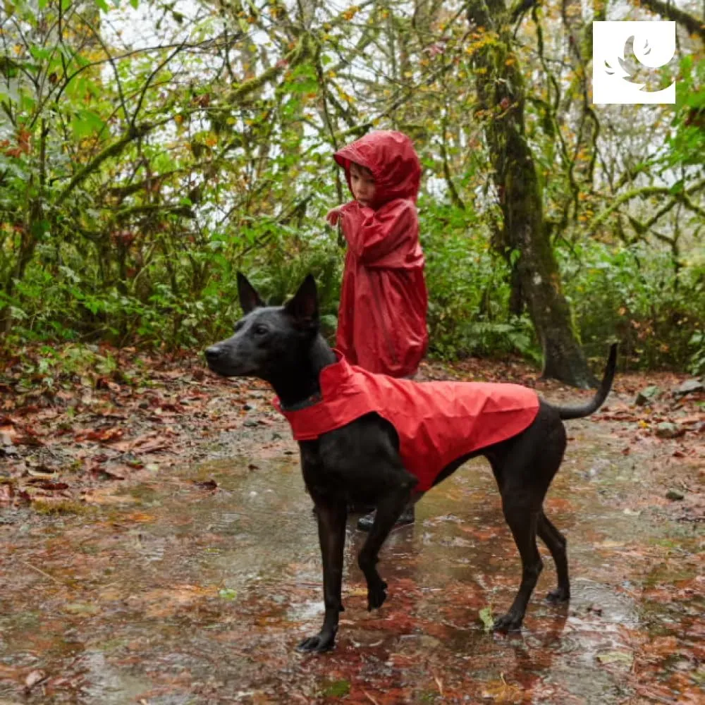 RC Pets Delta Rain Slicker, Water-Resistant Dog Raincoat, Large, Lemon