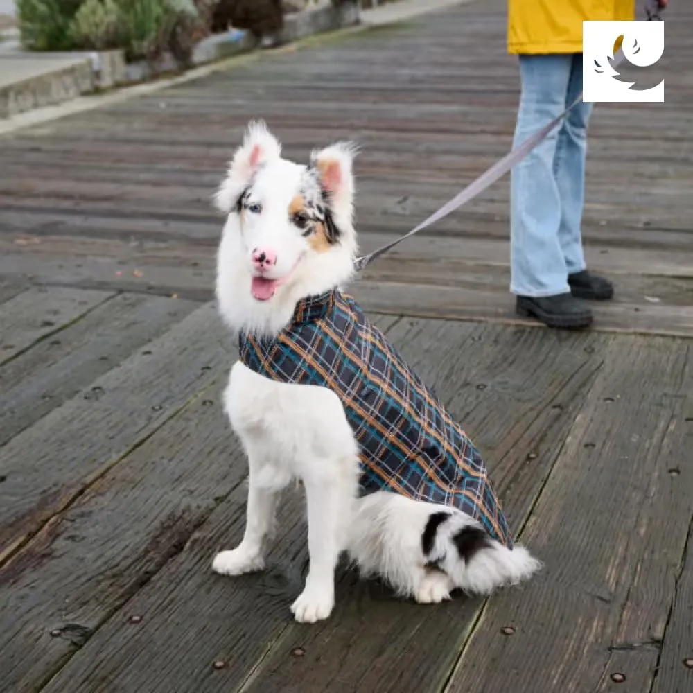 RC Pets Delta Rain Slicker, Water-Resistant Dog Raincoat, Large, Lemon