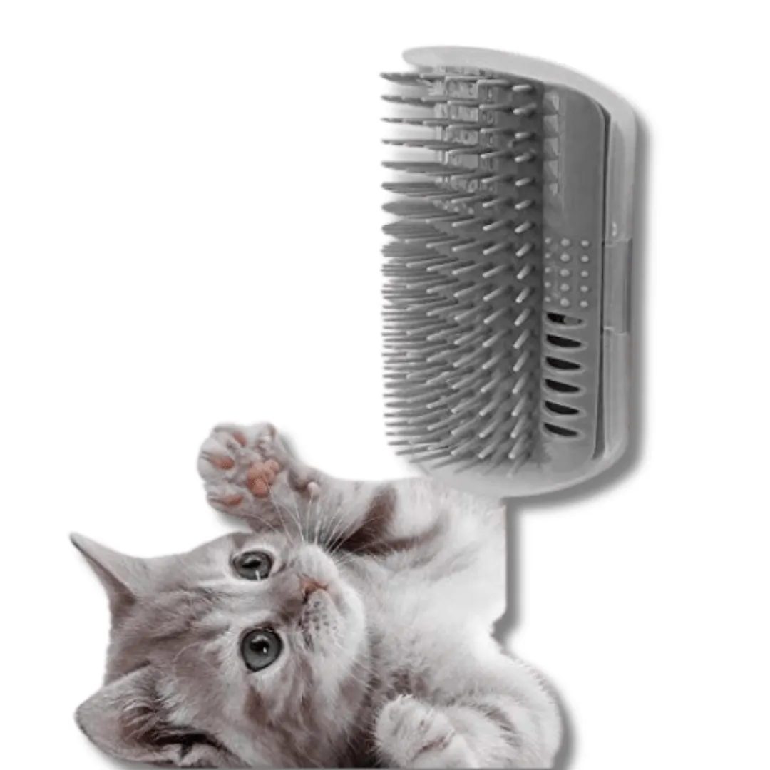 Self-Grooming Rubbing Brush