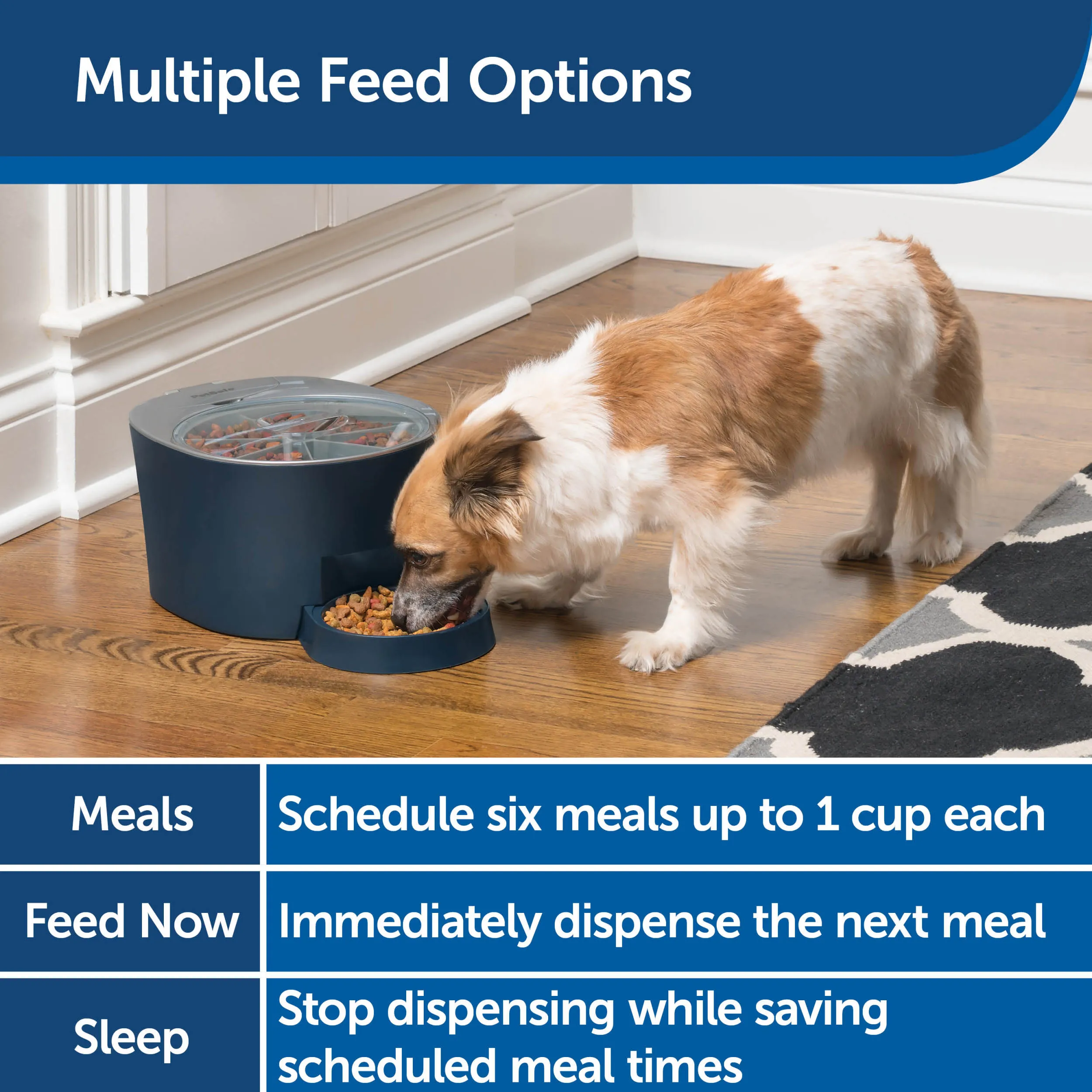 Six Meal Feeder