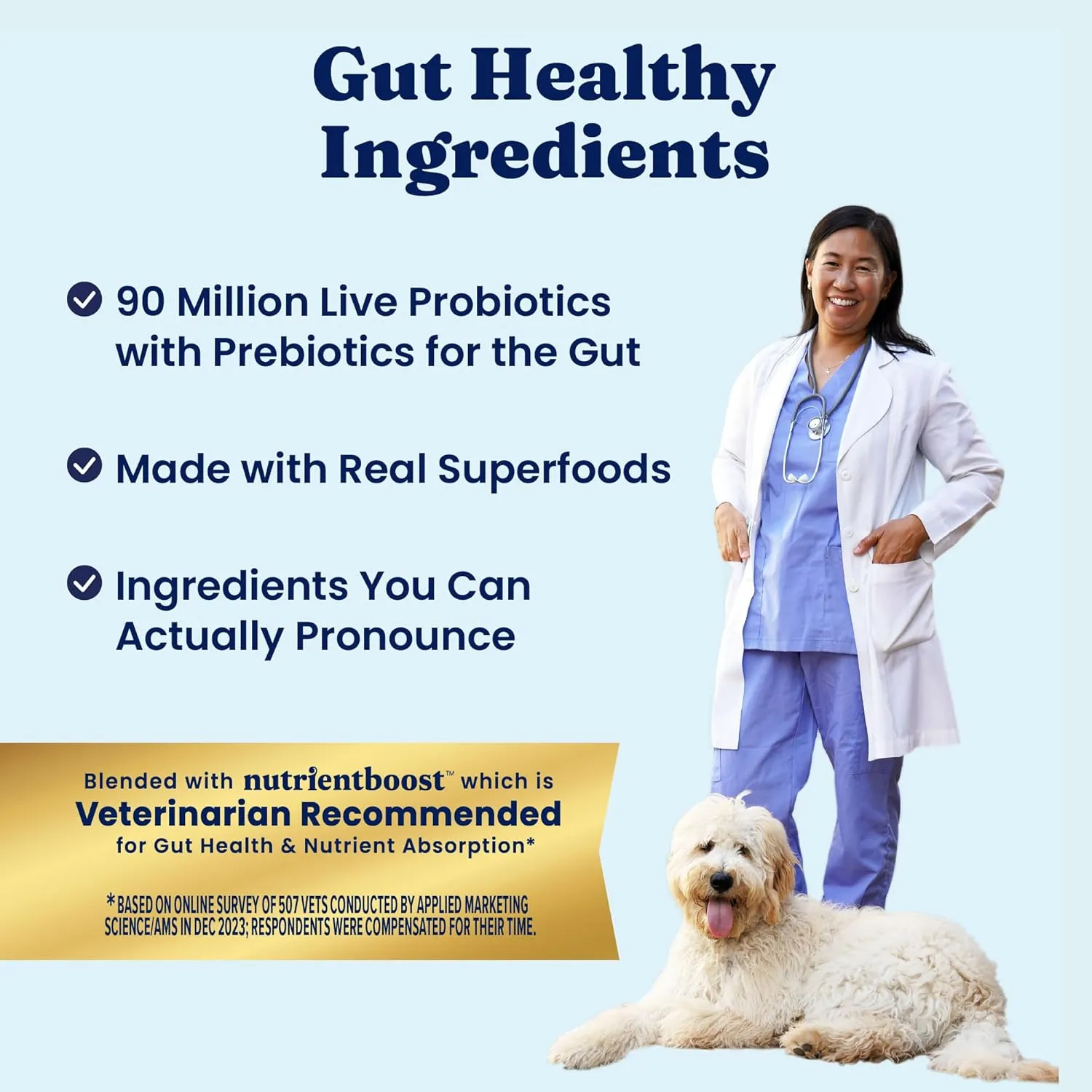 Solid Gold Toy & Small Breed Dry Dog Food Small Bites  Real Chicken, Grain Free Gluten Free, High Fiber Healthy Kibble w/Probiotics for Gut Health & Digestion Support All Ages  NutrientBoost 11LB