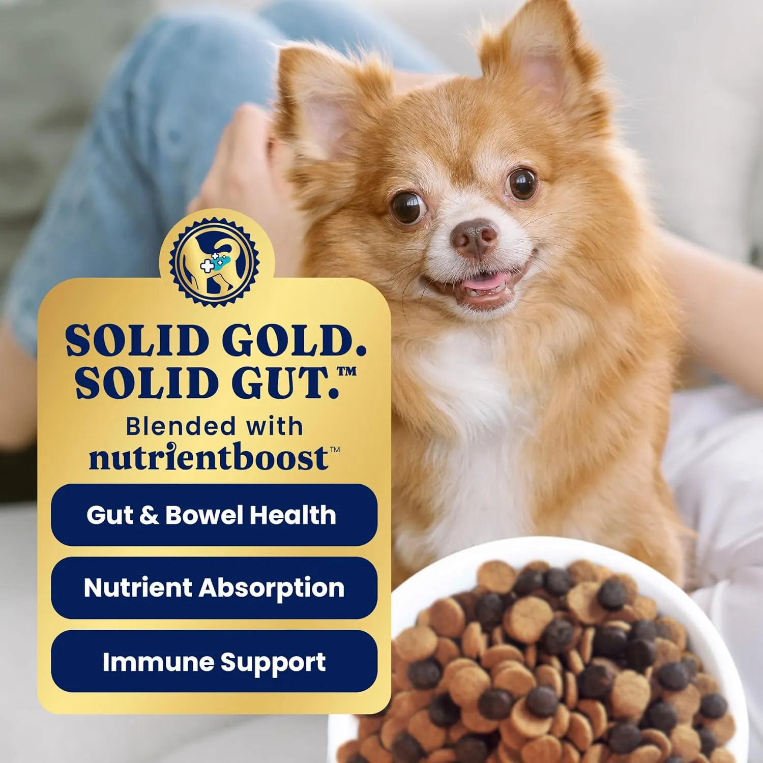 Solid Gold Toy & Small Breed Dry Dog Food Small Bites  Real Chicken, Grain Free Gluten Free, High Fiber Healthy Kibble w/Probiotics for Gut Health & Digestion Support All Ages  NutrientBoost 11LB