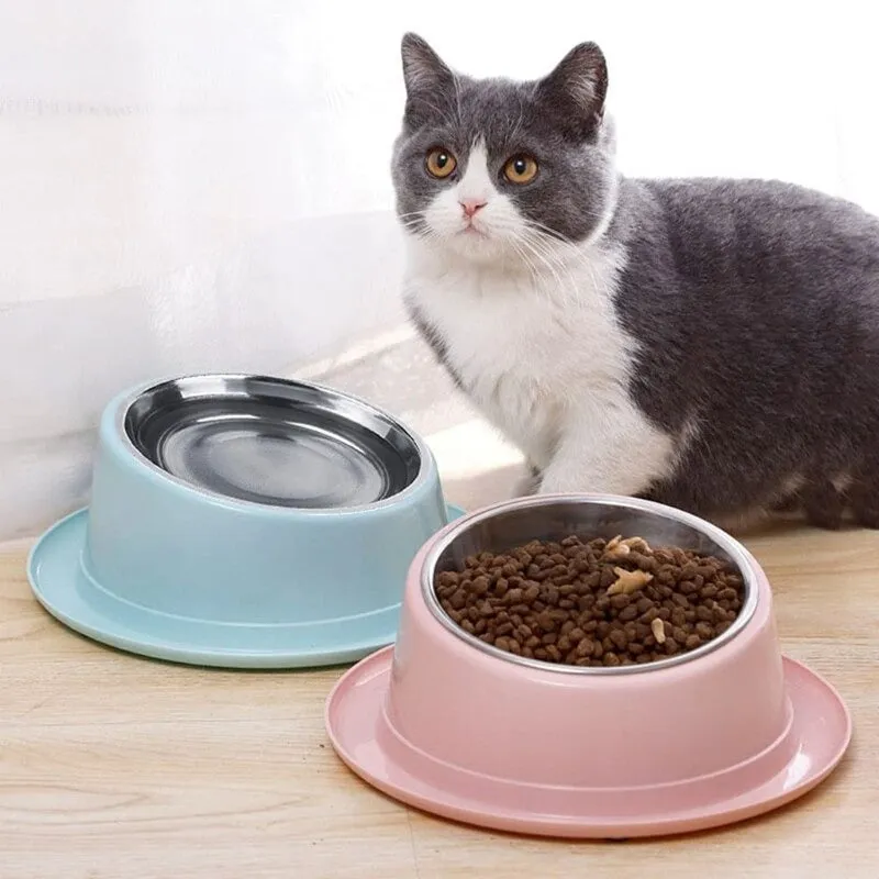 Tilted And Raised Cat Bowl