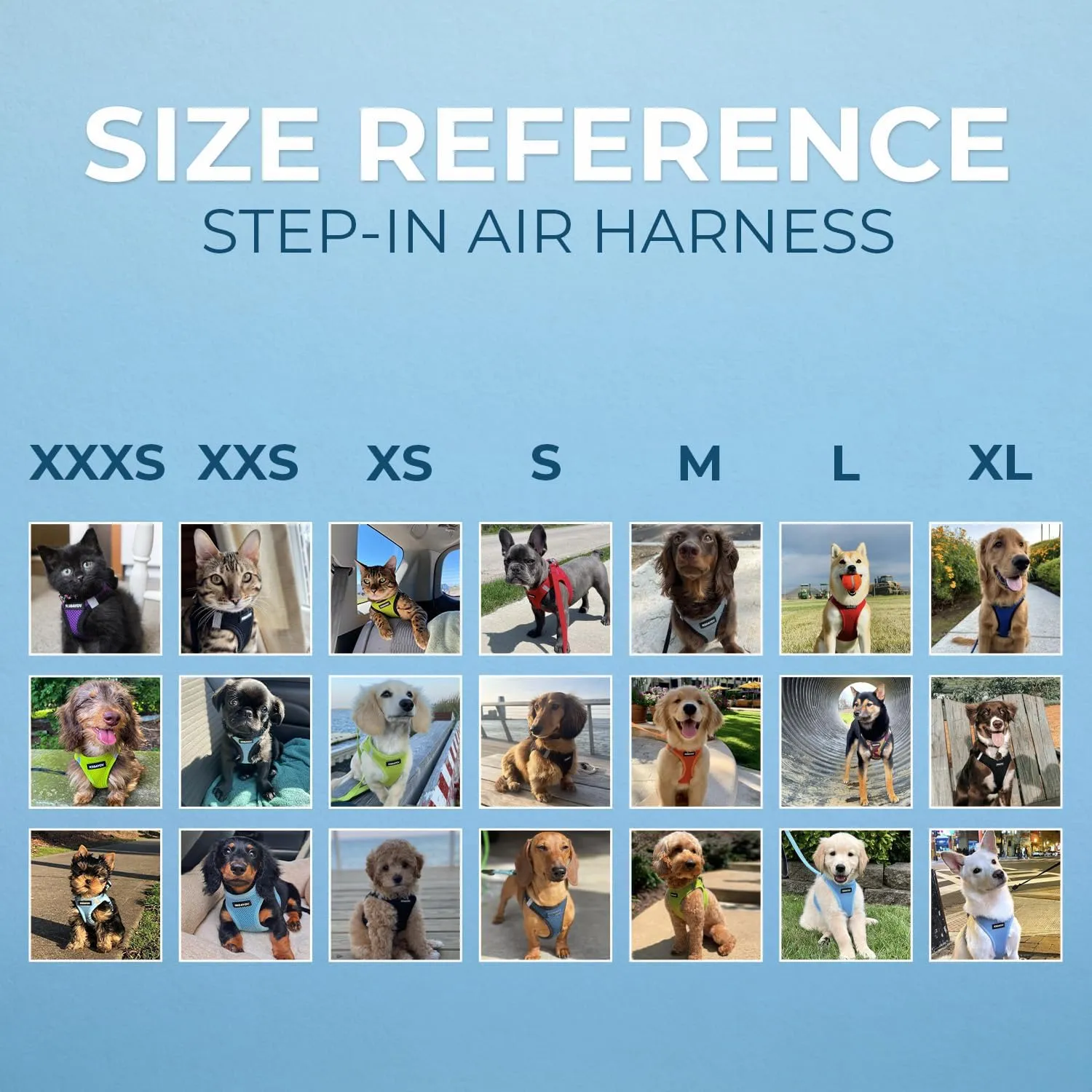 Voyager Step-in Air Cat Harness - All Weather Mesh Step in Vest Harness for Small and Medium Cats by Best Pet Supplies - Harness Leash Set (Pink), XXS